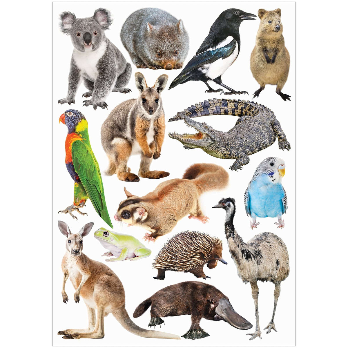 Collage Collections Creatures Pack of 40 - view 5