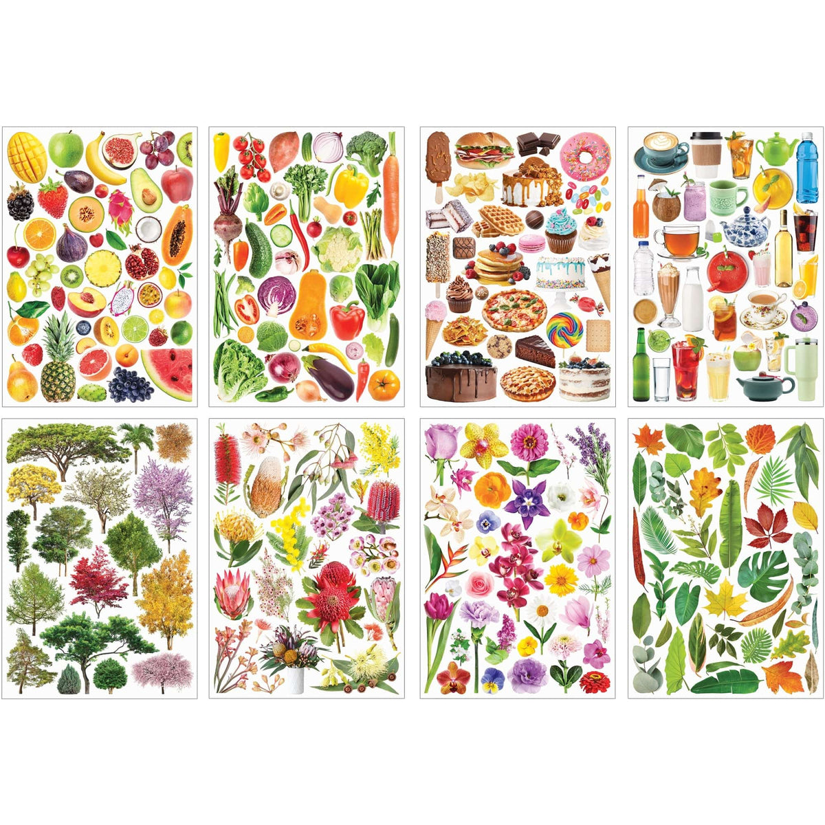 Collage Collections Thrive Pack of 40 - view 4
