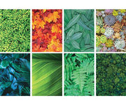 Pattern Papers Foliage