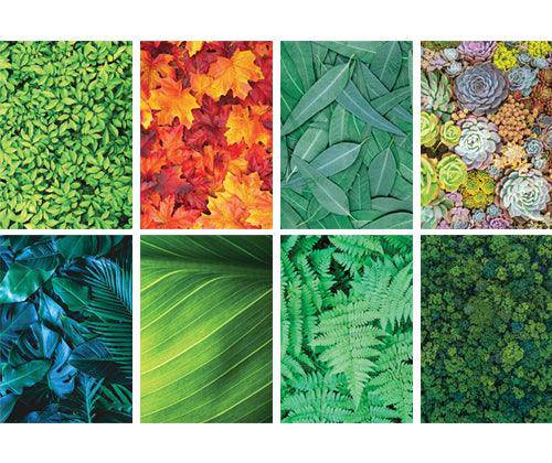 Pattern Papers Foliage