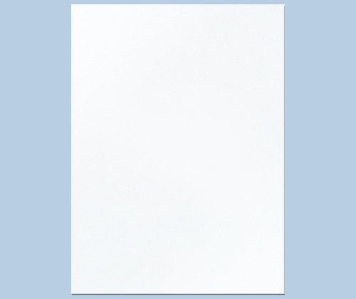 Printing Foam (A4) - Pack of 15