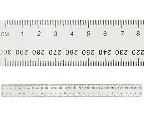 Plastic Ruler