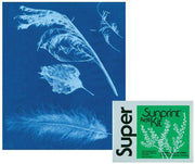 Sun Sensitive Paper - Pack of 15