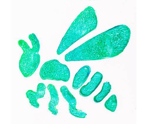 Minibeast Stencils 6.8 x 6.8cm - Pack of 12