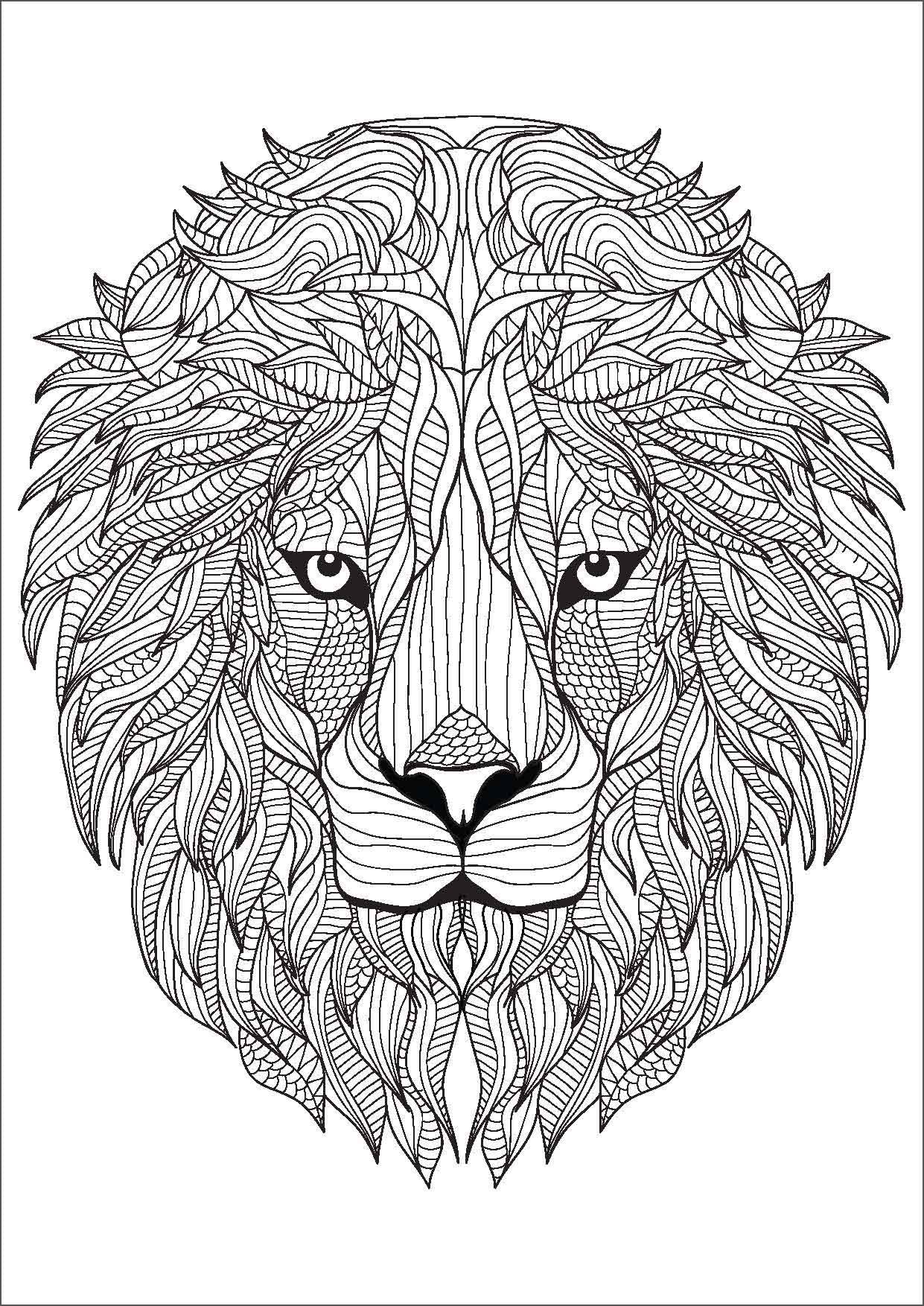Mindful Colouring - Amazing Animals — inside page 2