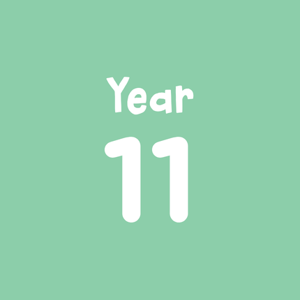 Year 11